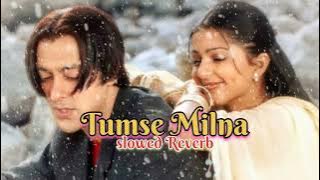 Tumse Milna | Slowed Reverb | Tere Naam | Alka Yagnik & Udit Narayan | 90'S Songs | Hair Lofi