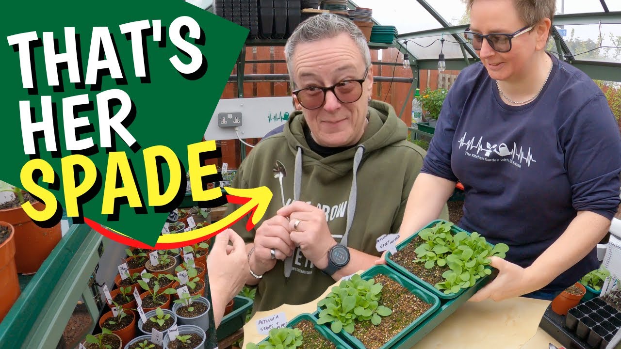 Pricking out, potting on or transplanting those awkward seedlings