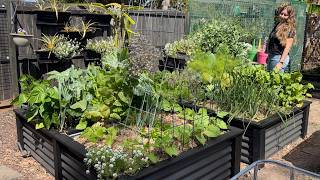 How to cover an IBC Wicking Bed - Subtropics Australia
