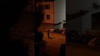 صوت مخيف screenshot 5