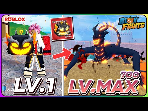 💠ใช้ผล มังกร ปรับใหม่ ฟาร์มเวล 1 ถึง MAX สกิลครบ โหดเเค่ไหน?👒ใน BLOX FRUITS ᴴᴰ