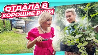 ВЛОГ | ЗАПРЕЩЕННЫЙ КОФЕ С ПОДРУГОЙ | НАКОПАЛА СОКРОВИЩ | приехала @Kashposhnica