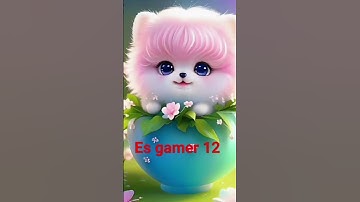 #shorts #nature cat#funny #trending #reels#4k_status#status cat#wish WhatsApp status video cat