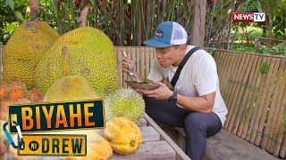 Biyahe ni Drew: Bakit maraming durian sa Davao?