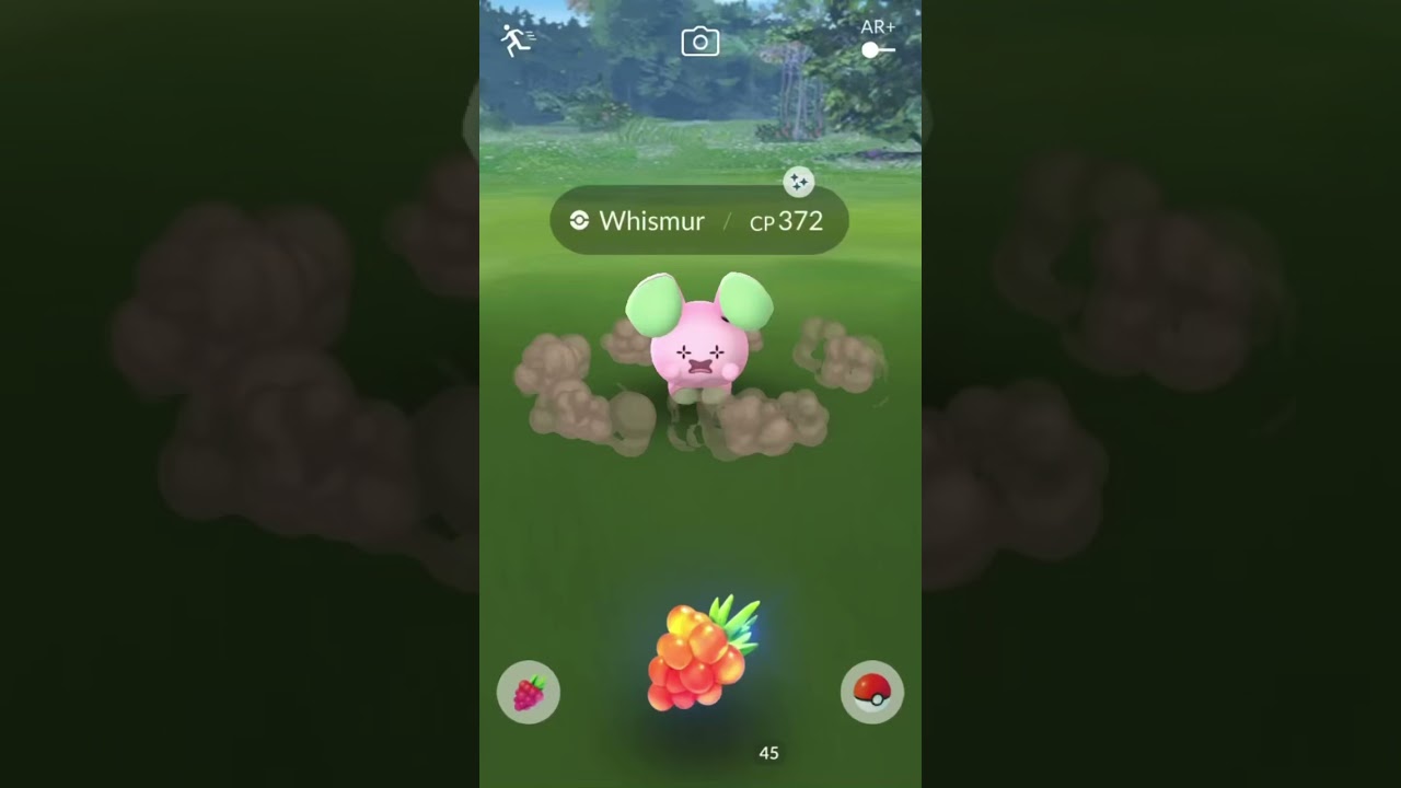 Shiny whismur pokemon go