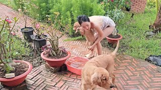 Mới Sáng Sớm Là Rửa Rồi