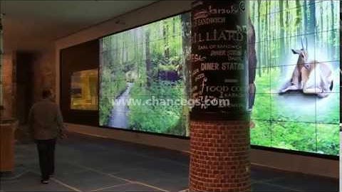 Gesture based Interactive Wall Projection India