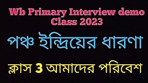 Primary Interview demo class (Class 3,EVS)