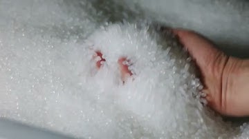 Signode Virton Stretch Films Factory Overview, Belgium