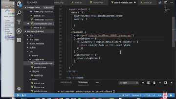 VueJS & DB | Level 4-1.7: page(country) Details .filter()