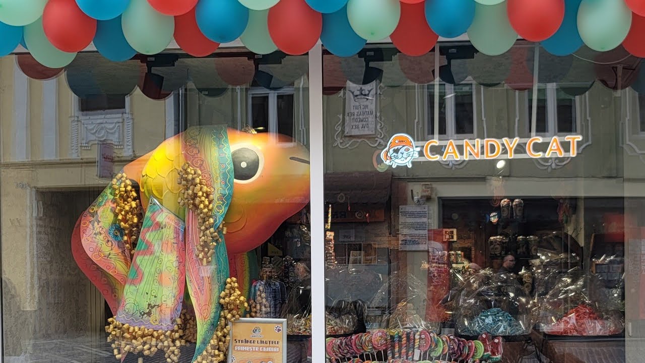 Candy Cat 🍬 city center Brasov, Romania 🇷🇴 candy reels viral 
