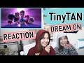 BTS [TinyTAN | ANIMATION] - Dream ON | REACTION