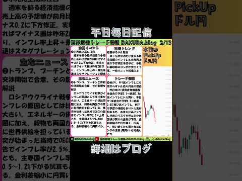 米CPI消費者物価指数とPPI生産者物価指数が上振れるもドル円円高の理由を解説-2025/2/13 世界経済トレード情報