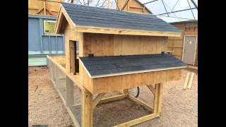 DIY chicken tractor coop with automatic door.