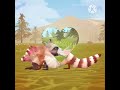 raccoon heat #wildcraft #wildcraftheat