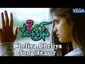 2 countries Telugu Movie Songs - Cheliya Cheliya Vidipoke Kalala Song Teaser