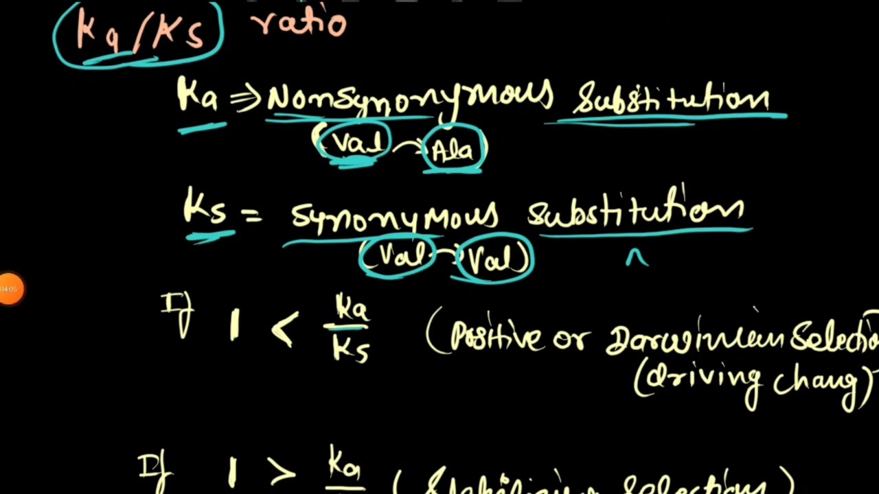 Molecular clock | rate of evolution | Ka and Ks ratio | non synonyms and synonyms mutation evo( net)