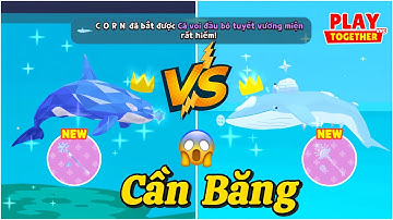 Play Together | Thử Thách Mình Dùng 2 Cần Câu Băng Câu Full Cá Mới Và Cái Kết #189