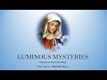 Luminous mysteries  pray with us