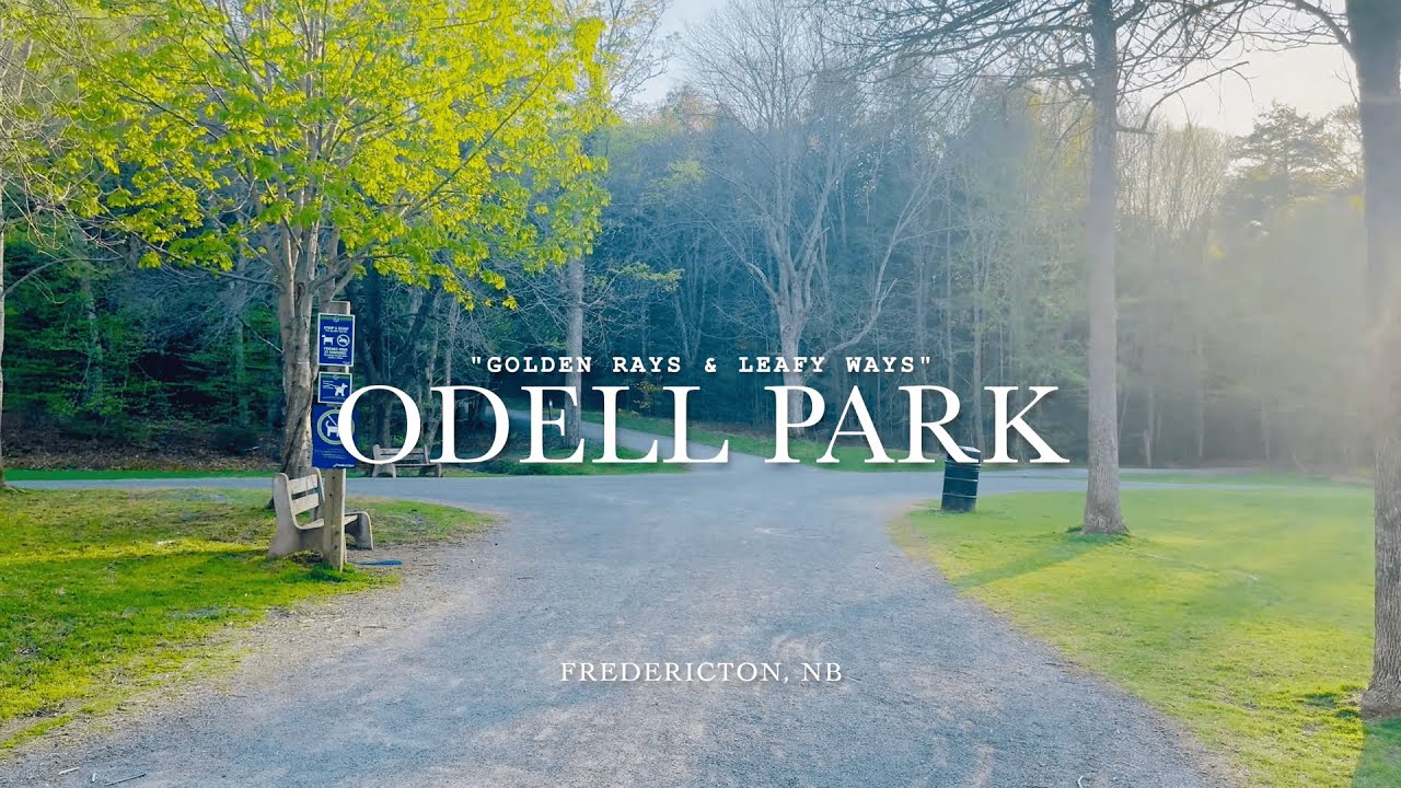 4K Nature Trail Walk | Odell Park, Fredericton | New Brunswick, Canada