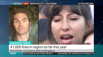 Amazon Fires: Interview with Rhett Butler