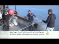 تراجع مهنة صيد الأسماك في