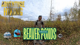 HIKING the BEAVER PONDS Trail (4K) #hiking