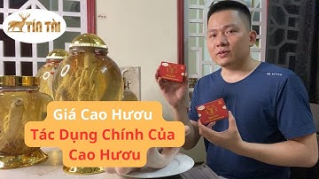 Giá cao hươu mới nhất | Tác dụng chính của CAO HƯƠU | Nhung Hươu Tín Tài