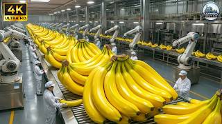 Inside the Banana Factory: From Fresh Bananas to Delicious Desserts (Full Process)