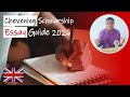 Chevening Scholarship Essay Guide 2026