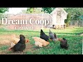 Dream Coop Update - What went wrong...