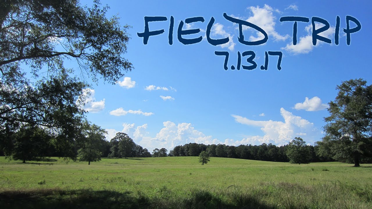 Field Trip - YouTube