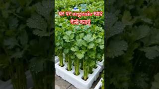 How to Make Organic Fertilizer at Home How to make compost#orgenic #seedkeepers #seedsavers #dk