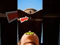 If You Ever Thought Water Torture Was Harmless, Think Again (3D animation) #shorts