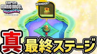 【マリオワンダー】真の隠しラストステージ・クリア報酬【スーパーマリオブラザーズ ワンダー】【Switch】