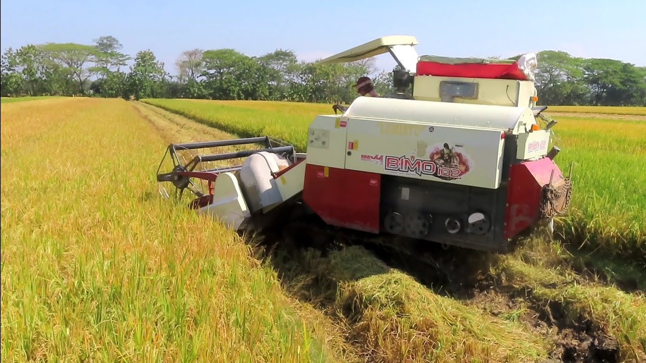 KOMBET SAWAH PADI BIMO MUTER BALIK SUSAH LAHAN SEMPIT
