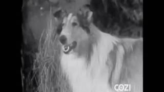 Lassie - Episode 24 - "The Well" (Originally broadcast 02/20/1955)