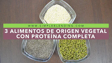 ¿Qué tres alimentos vegetales son proteínas completas?