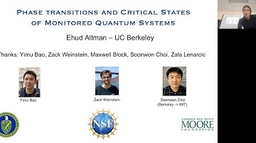 Phase transitions and critical states of monitored quantum systems