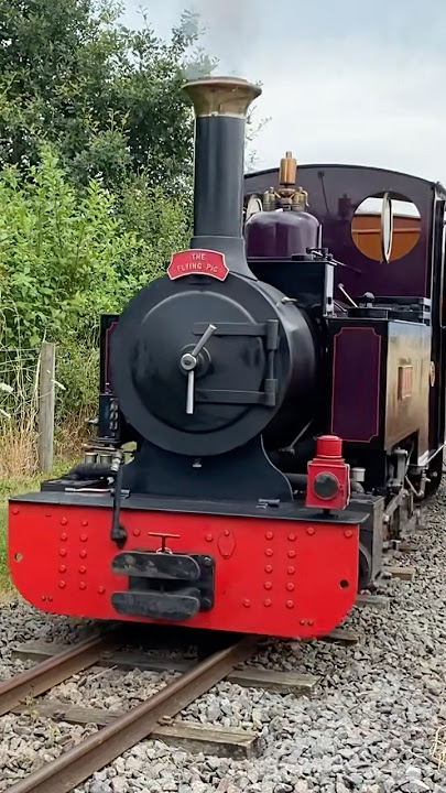 UK Steam - Narrow Gauge steam engine, ‘Anne’