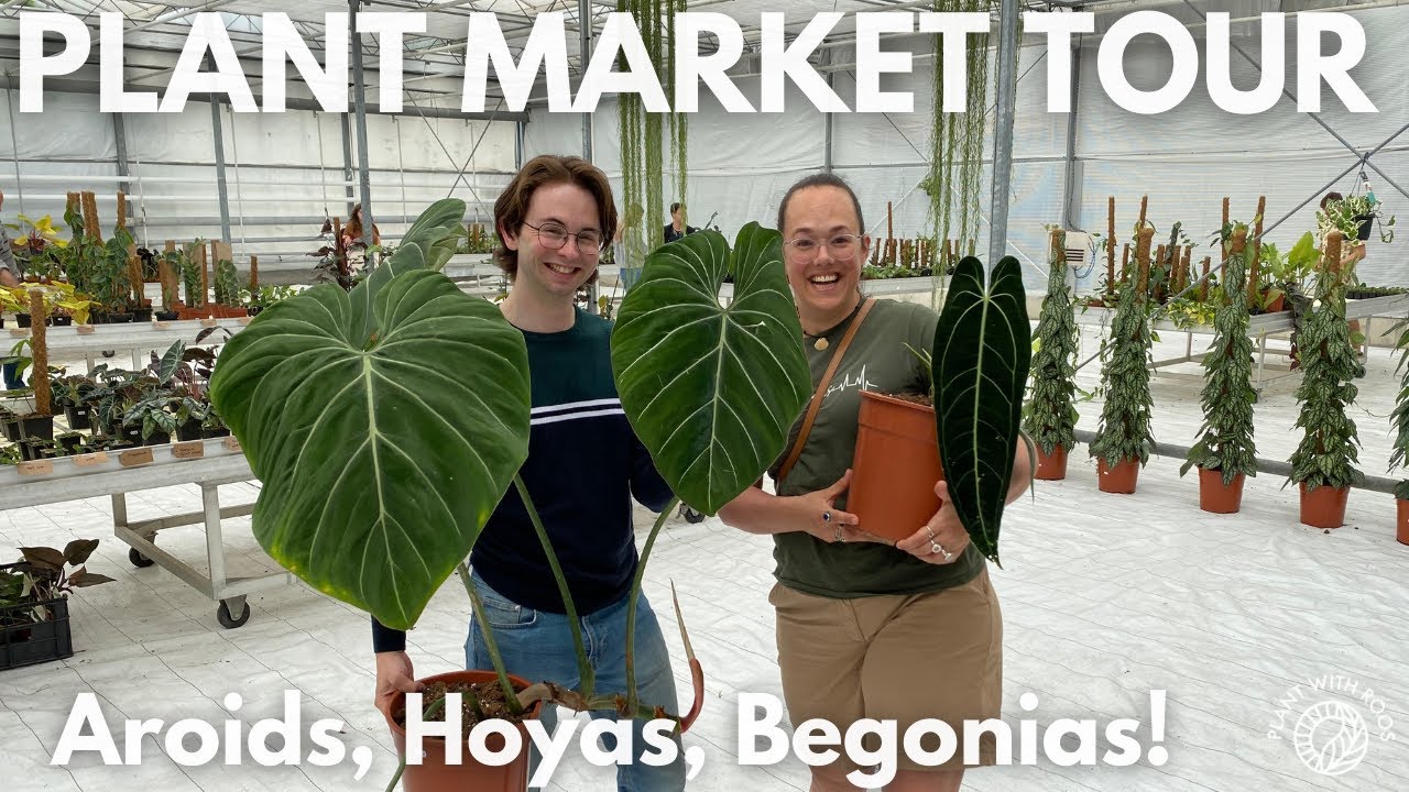 Rare Plant Market Tour! Aroids, Hoya, Begonia.. | Plant With Roos