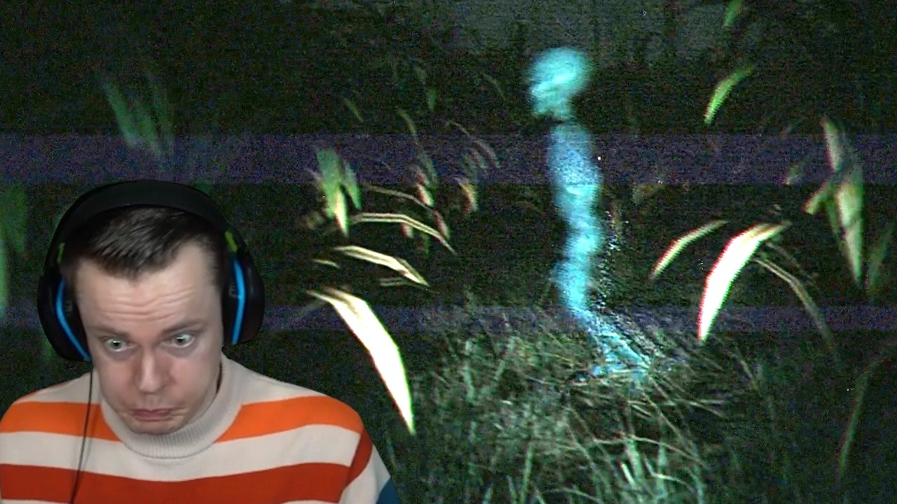 There are Strange Lights in the Forest