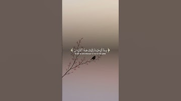آيات من القرآن الكريم ذكرى للذاكرين #القرآن_الكريم_راحة_نفسية