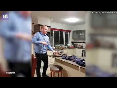 Huge python frightens family by joining them at the dinner table   Daily Mail Online