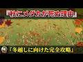 秋のメダカぽつぽつ死を防ぐ！冬越しに向けた秋飼育完全攻略【媛めだか】