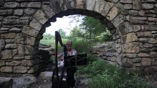 Yellow Submarine Performed By Suzanne Shields On Celtic Harp.