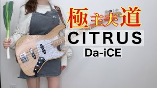 「Da-iCE /CITRUS」をベース弾いてみた/「極主夫道」主題歌（Bass Cover） ぴにょ