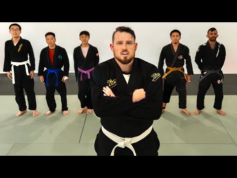 What Bjj Belt Can I Beat?