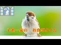 Youtube Thumbnail title