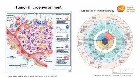 Phenotyping the Tumor Microenvironment Using DNA Barcoded Multiplex Technology